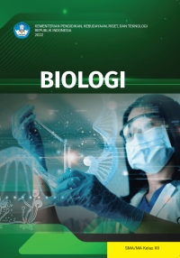 Image of Biologi : untuk SMA / MA Kelas XII