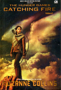 Image of catching fire