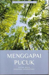 Image of Menggapai Pucak